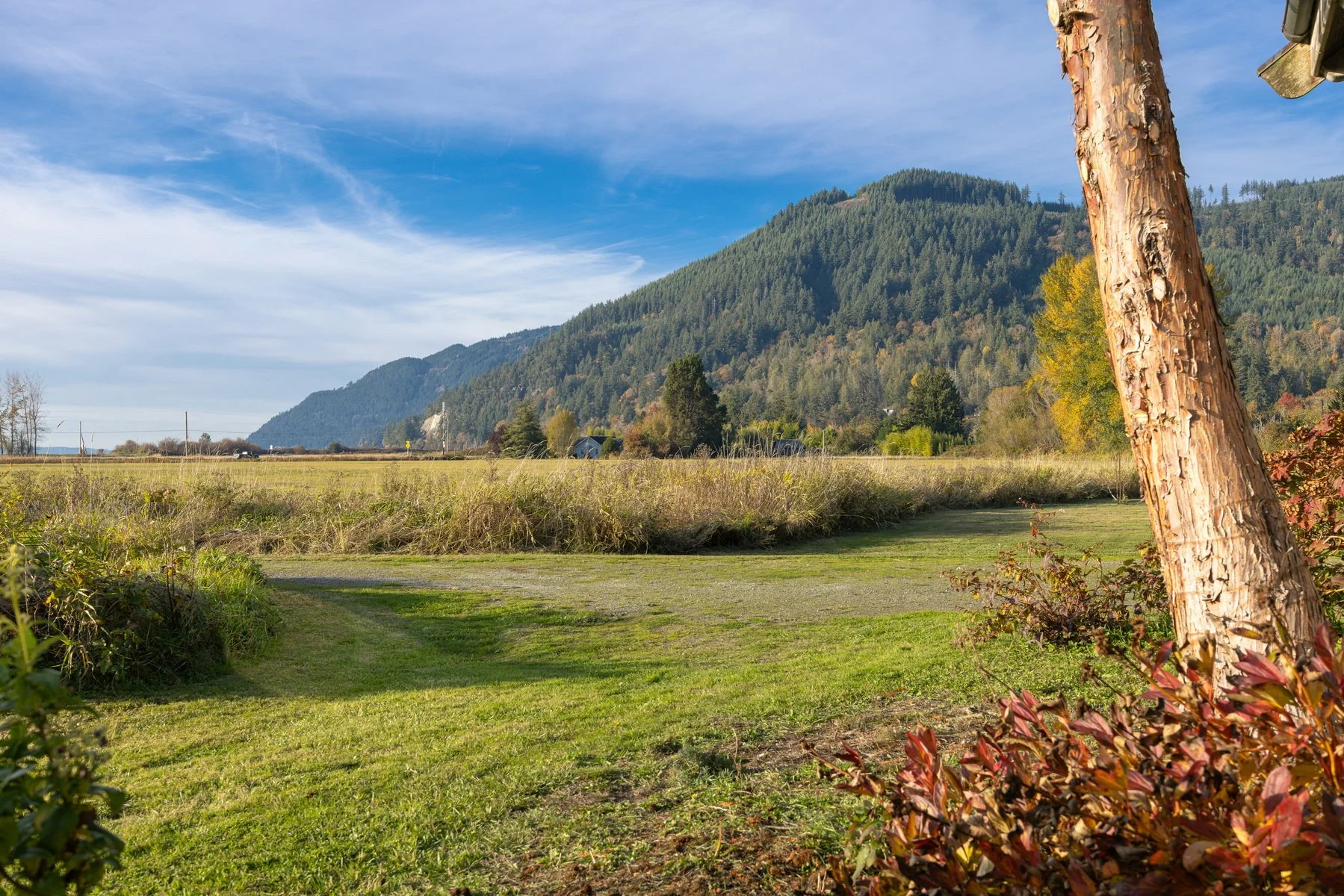 030_3725_Chuckanut_Dr_Alana_Mey.jpg