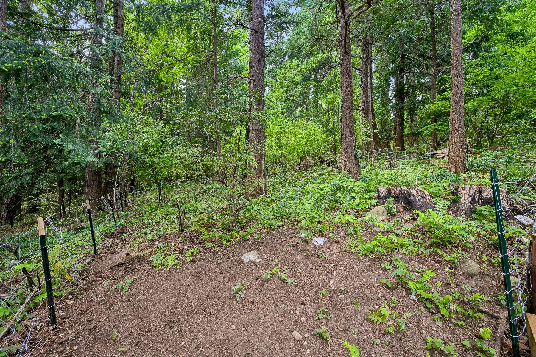 601 Willow Rd, Bellingham, WA 98225, Edgemoor home for sale by Alana Mey, Bellingham Real Estate Agent