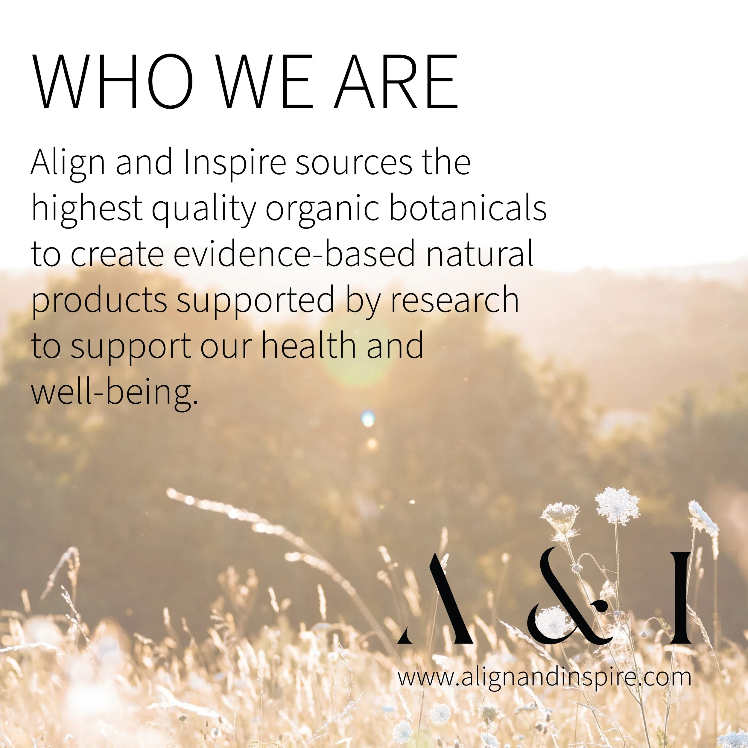 WEBSITE FINAL copy (1) (2).jpg