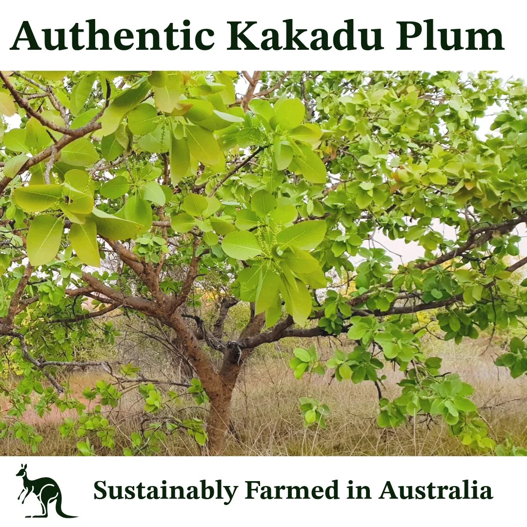 kakaduplum amazon farm.jpg