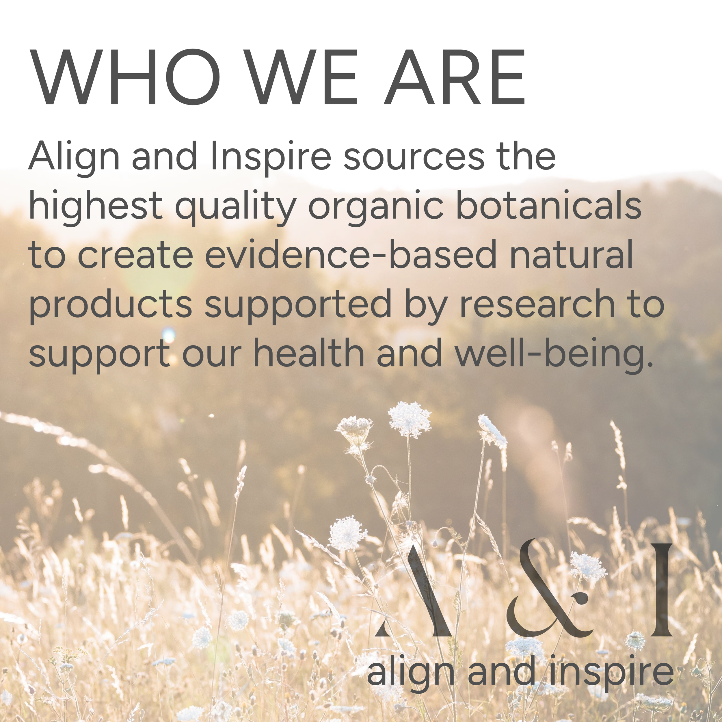 WEBSITE FINAL copy (1)-1 (2).png