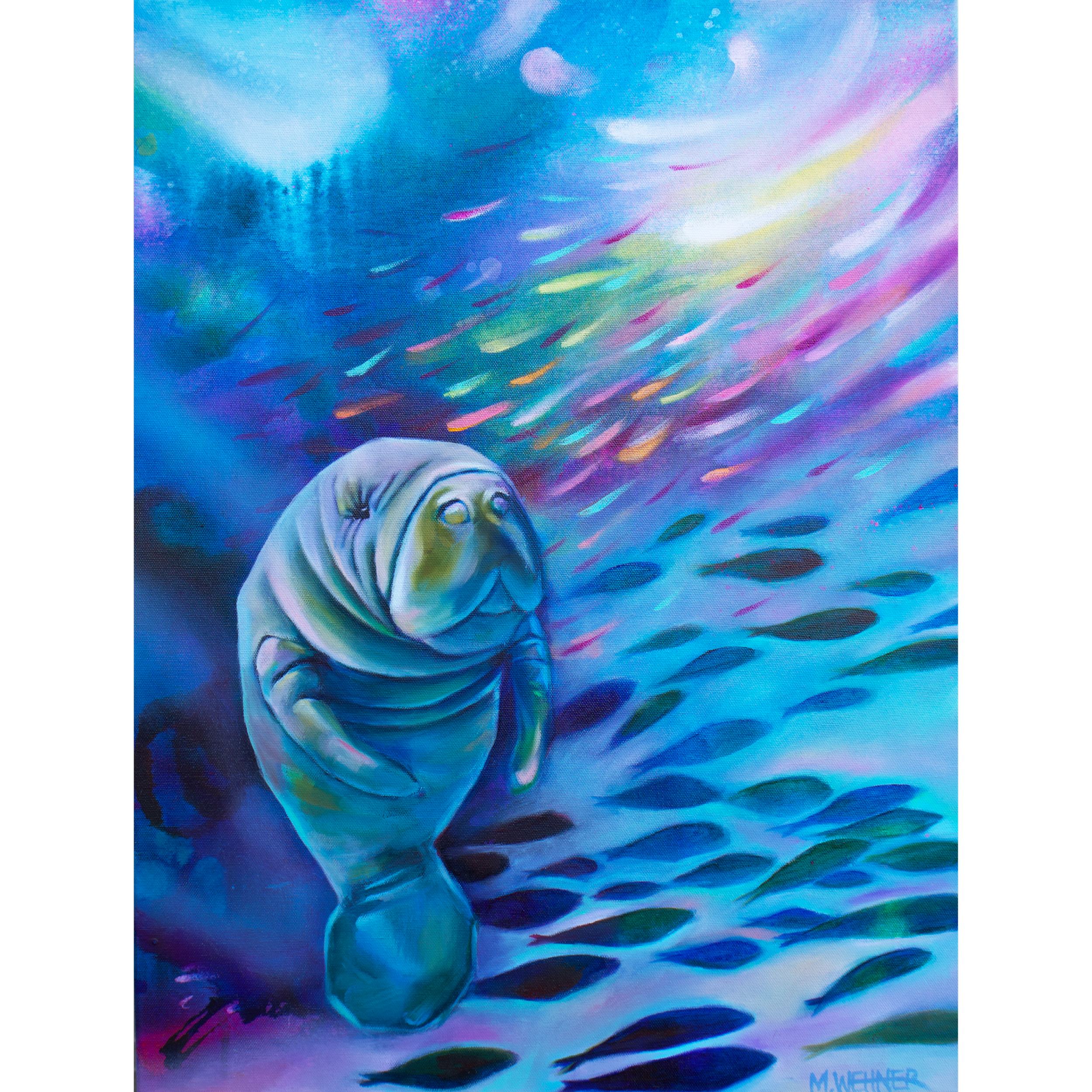 DEEP REFLECTIONS