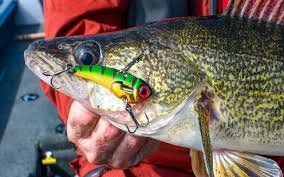 Lake Opens for Walleye &amp; Pike Fishing