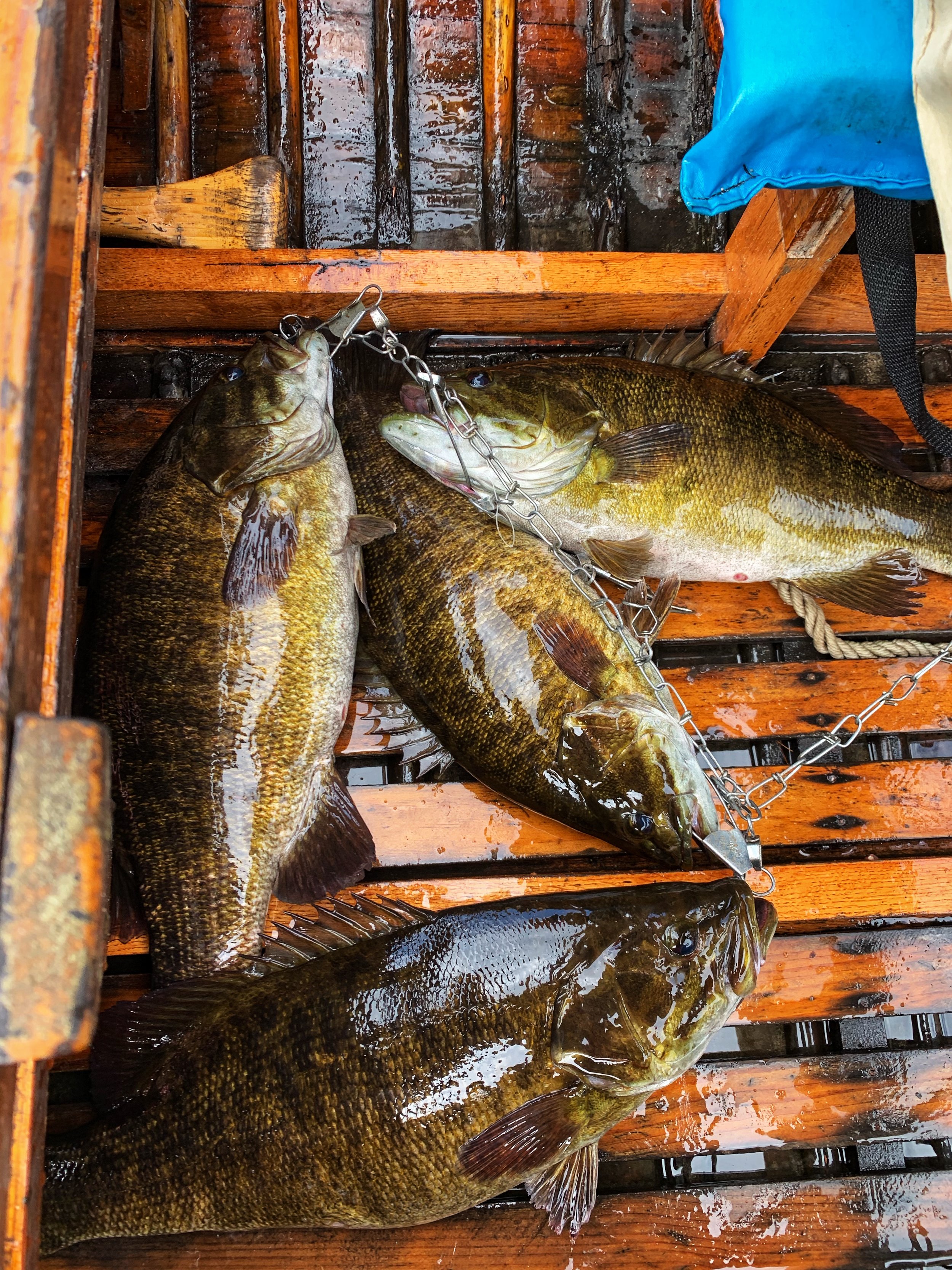 Lake Opens for Bass Fishing