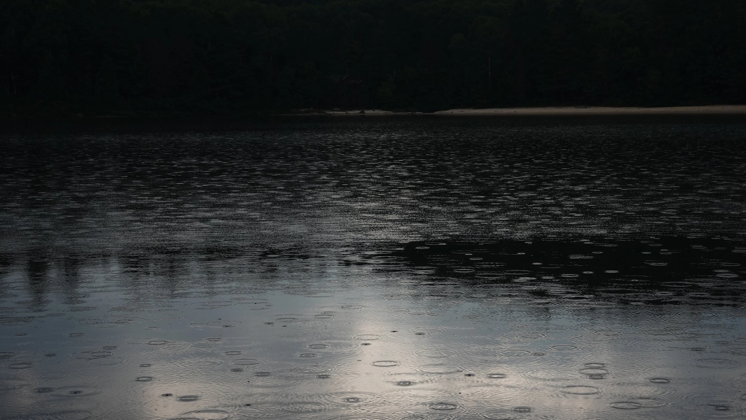 Dark, overcast lake with raindrops creating ripples on the water's surface and trees lining the distant shoreline.