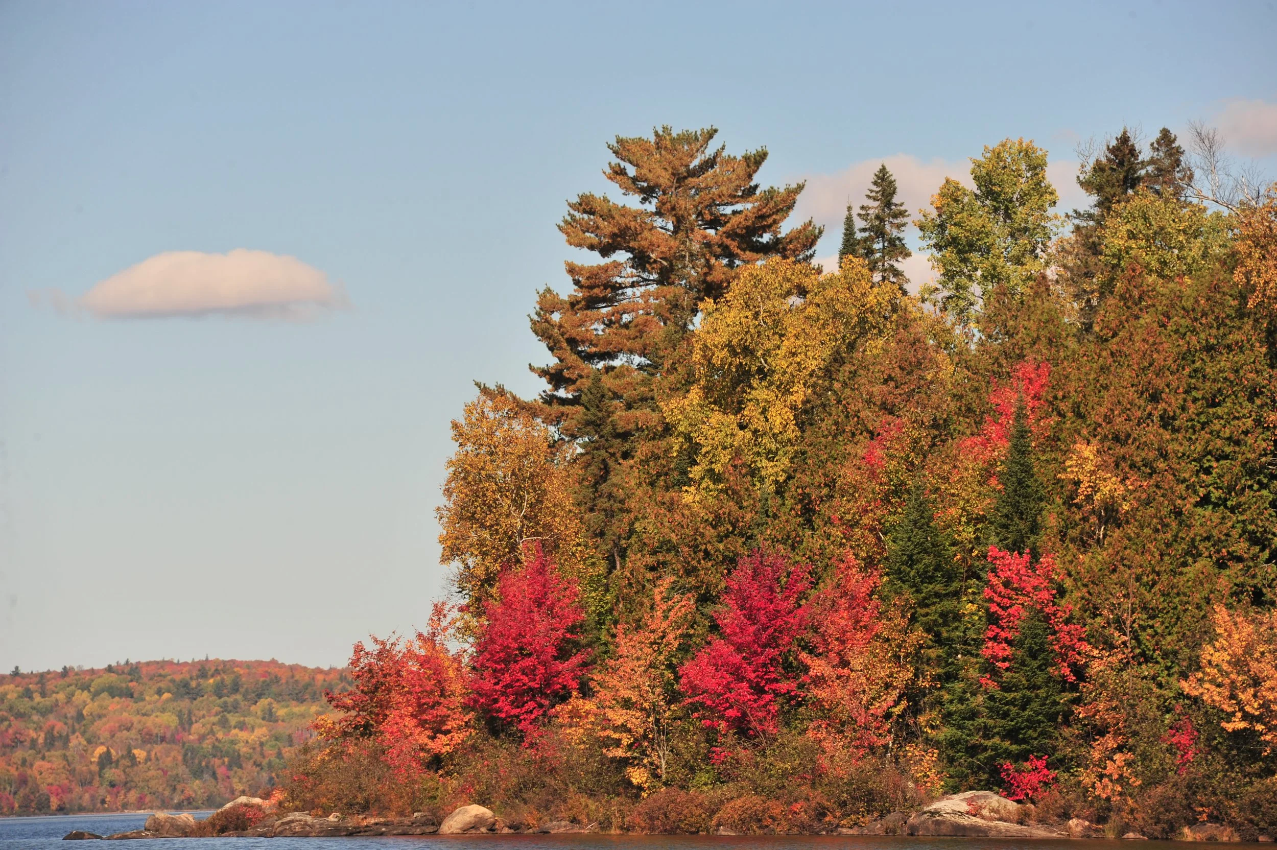 Autumn trees along the shoreline with colorful fall foliage, a lake in the foreground, and a blue sky with a cloud