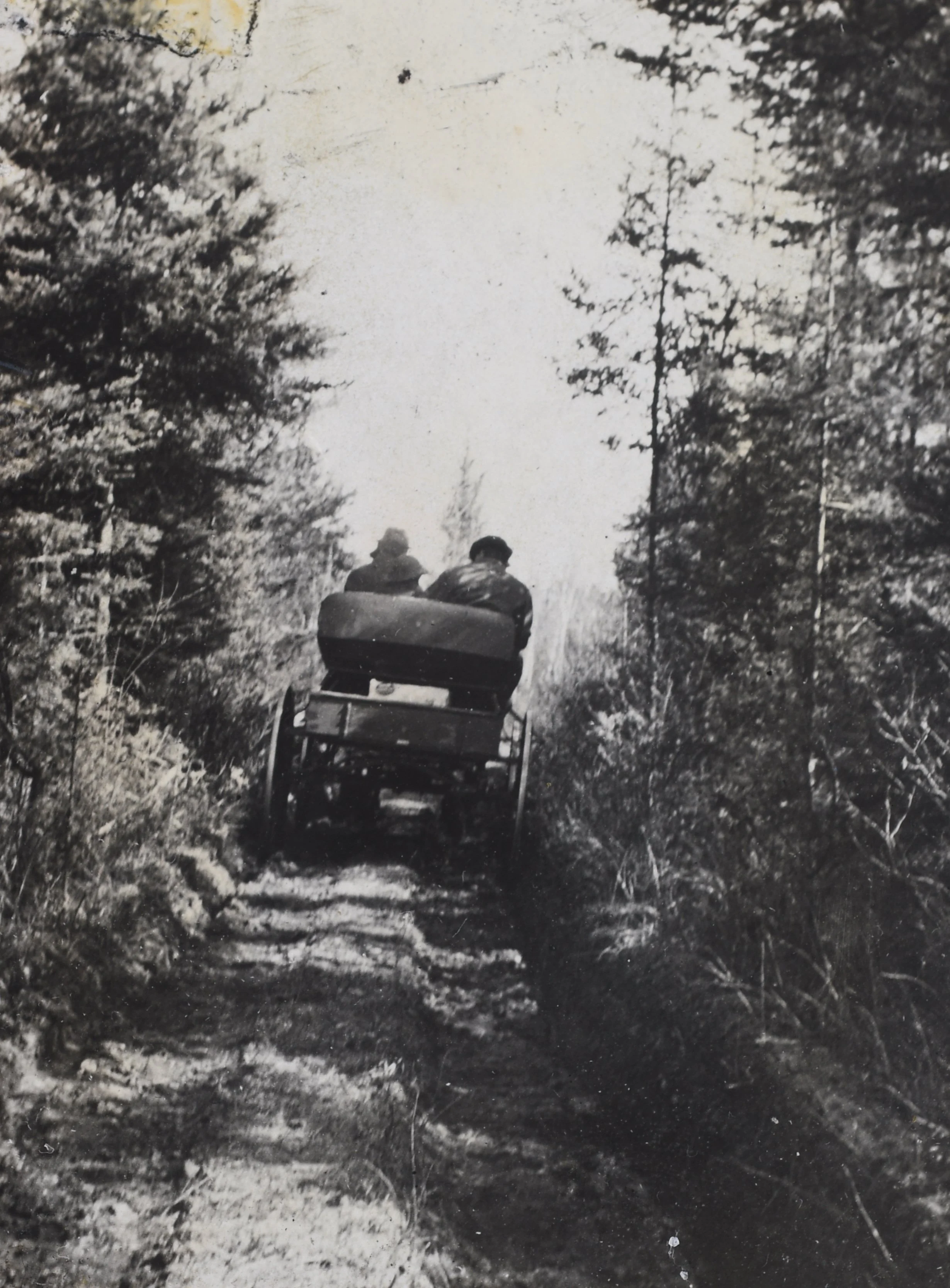 Black and white photograph of two people riding in a carriage pulled by a horse down a narrow, muddy dirt road surrounded by trees.
