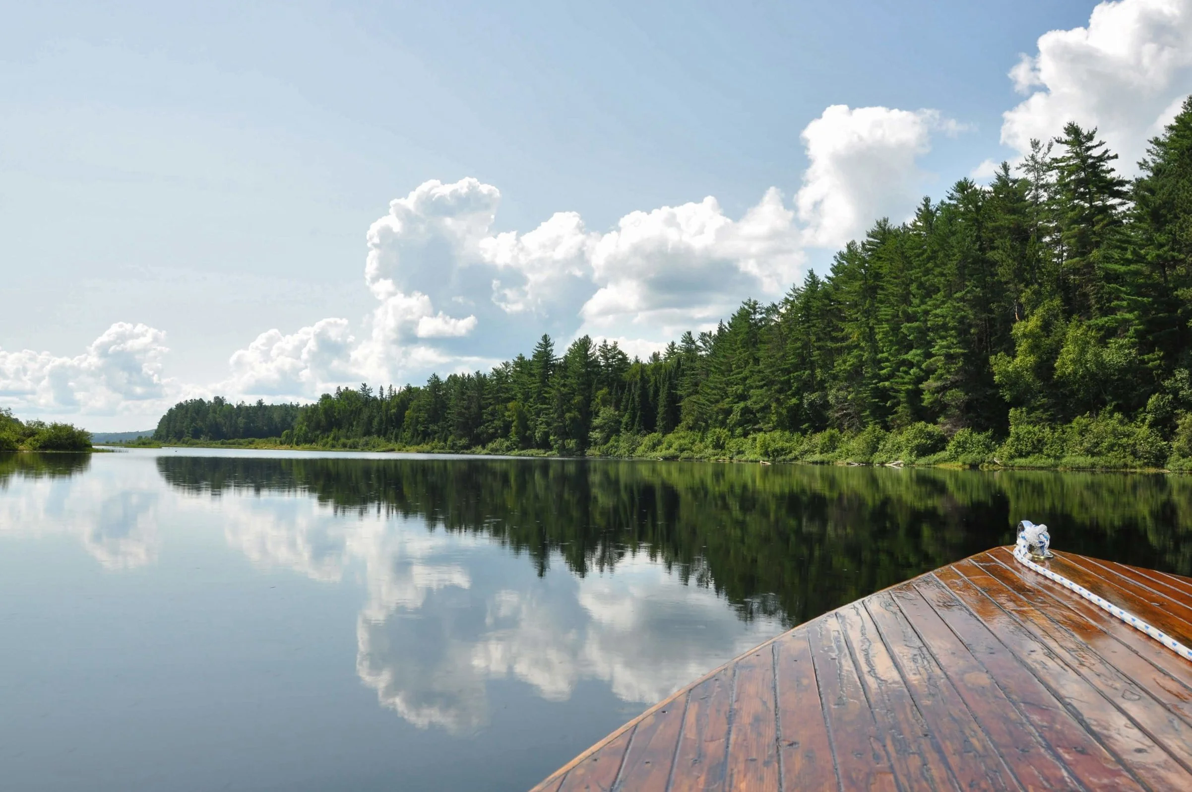 View from a boat on a calm river with reflection of the sky and trees, surrounded by lush green forest and a partly cloudy sky.