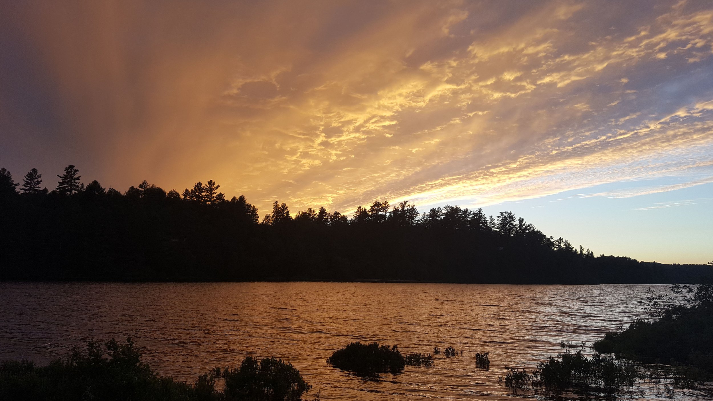 Sunset over a lake with orange and yellow clouds in the sky, silhouetted trees lining the shoreline, and bushes in the foreground.