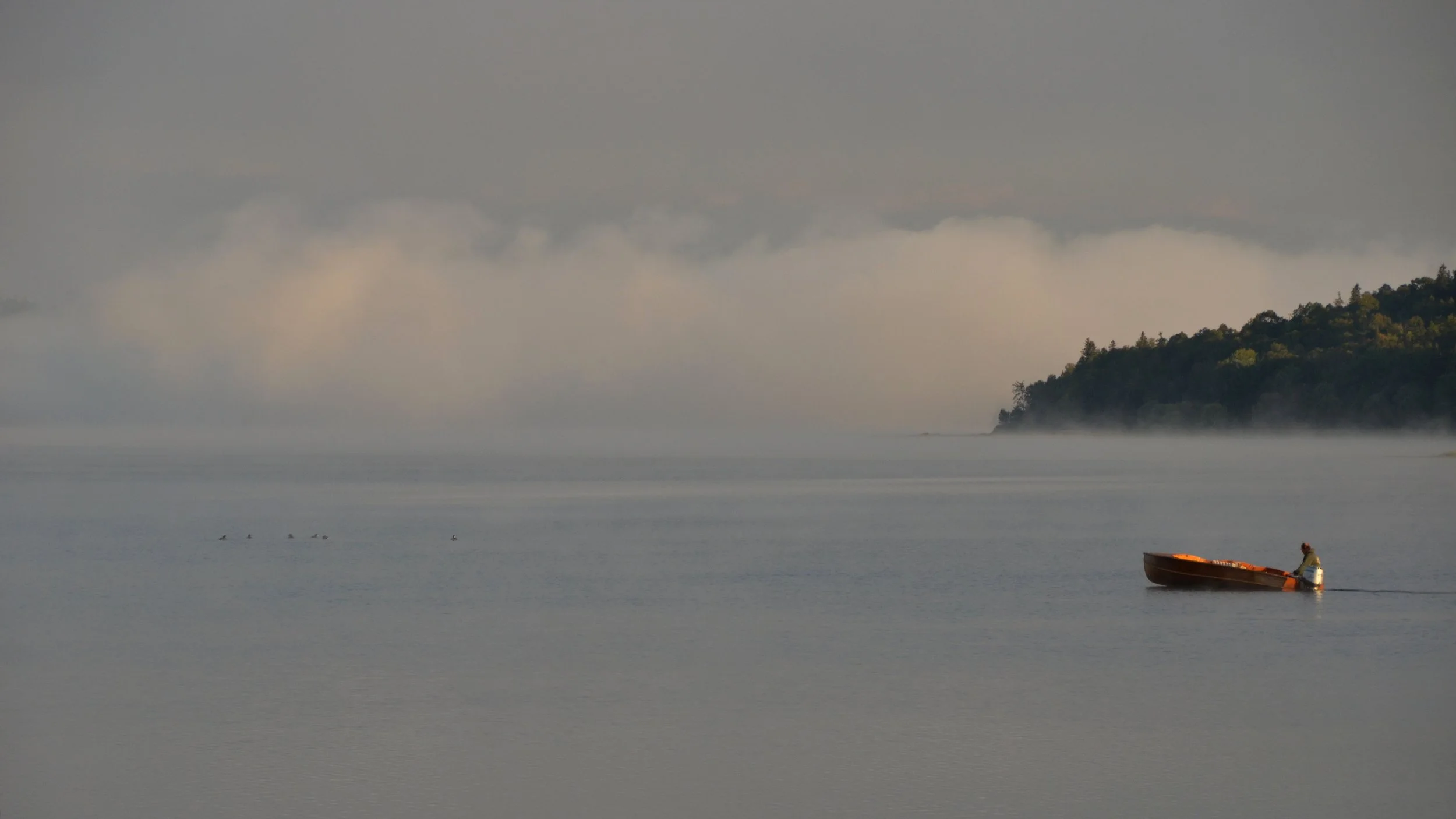 A person in a boat on a calm body of water with a misty shoreline and low clouds in the background.