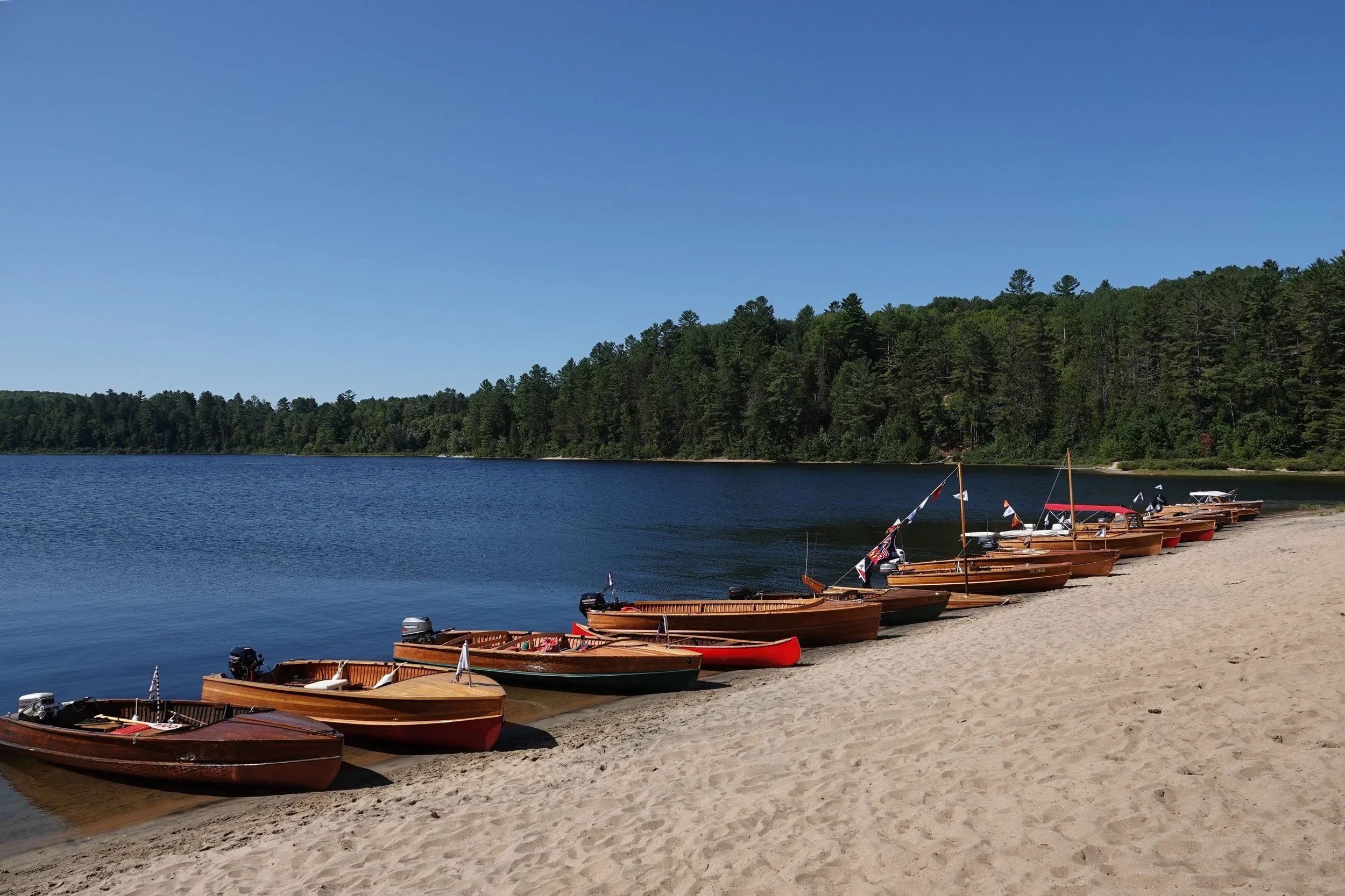 Multiple wooden rowboats lined up on a sandy beach with a calm lake and forested shoreline in the background, under a clear blue sky.