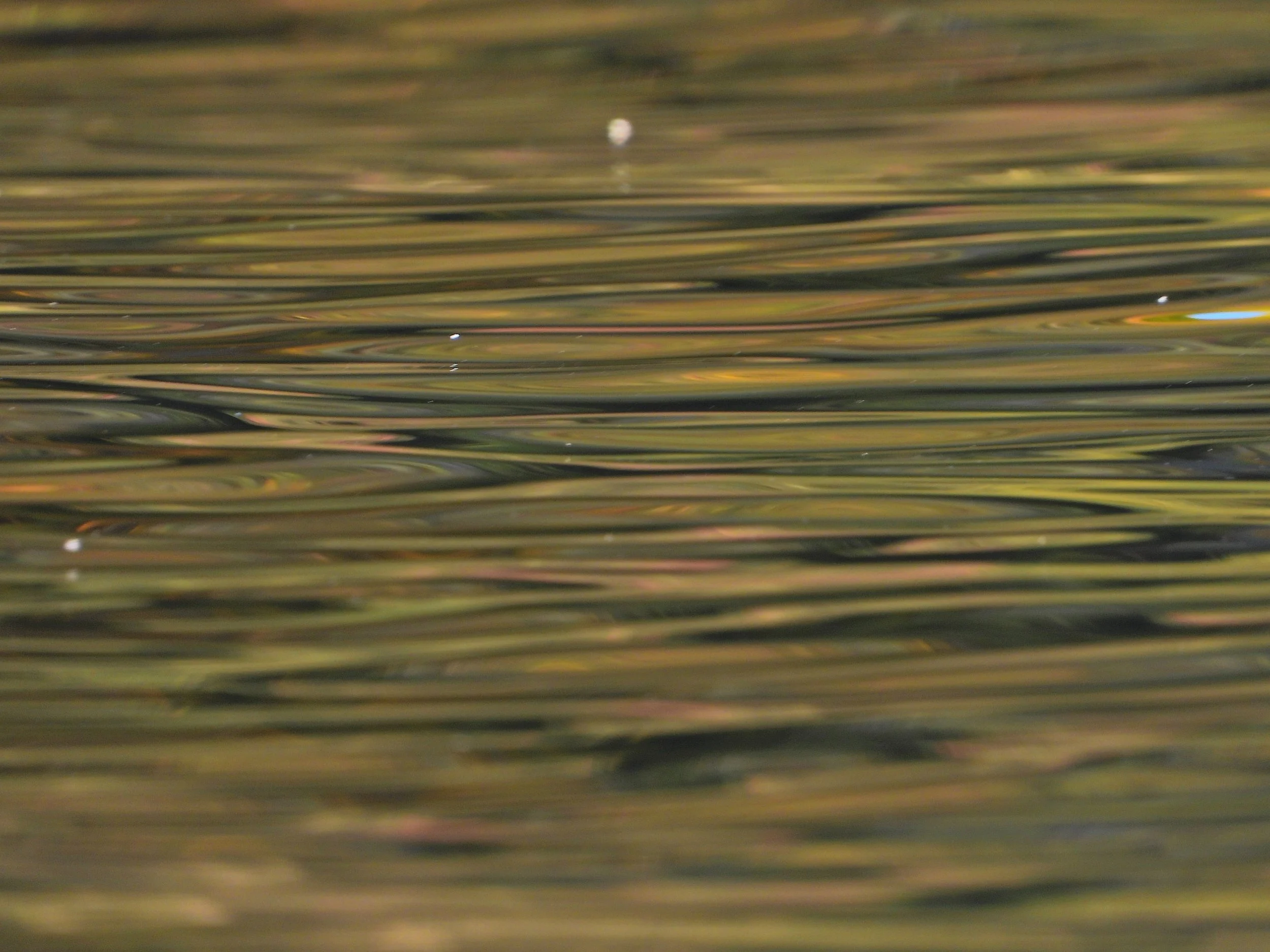Close-up of a body of water with ripples and reflections.