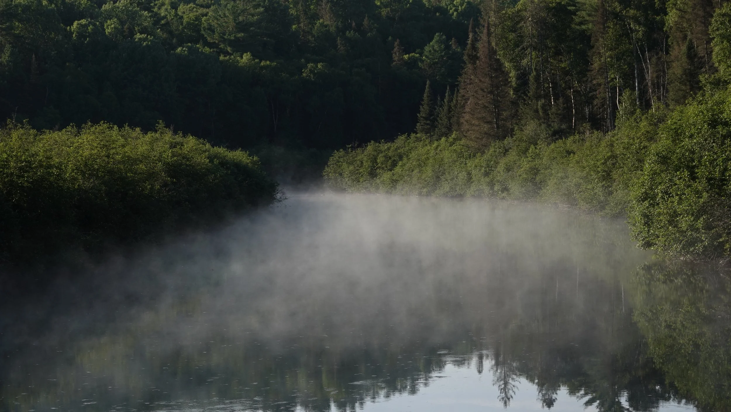A misty river flowing through a forested landscape with lush green trees on both sides and hills in the background.
