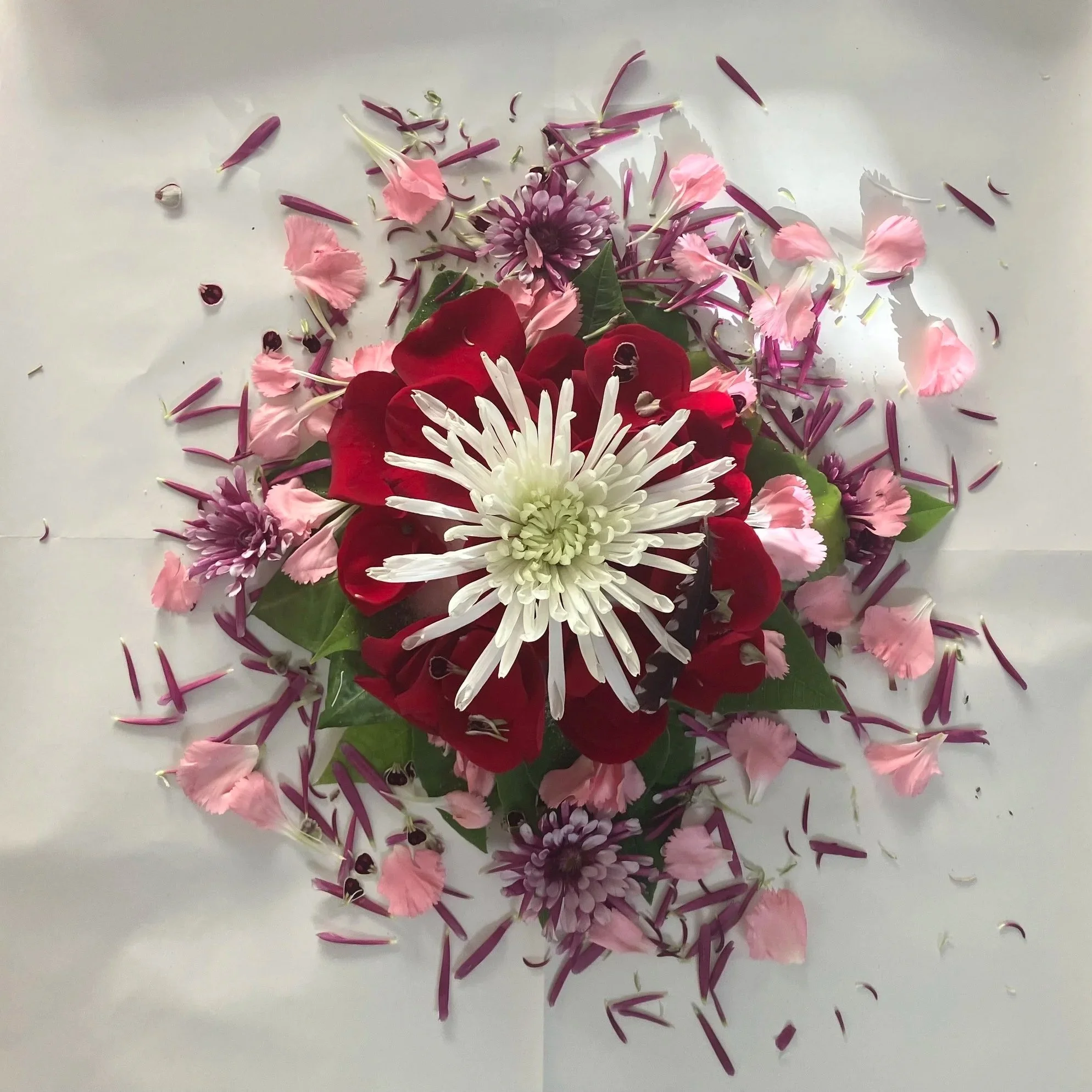 12.21.25 Winter Solstice despacho