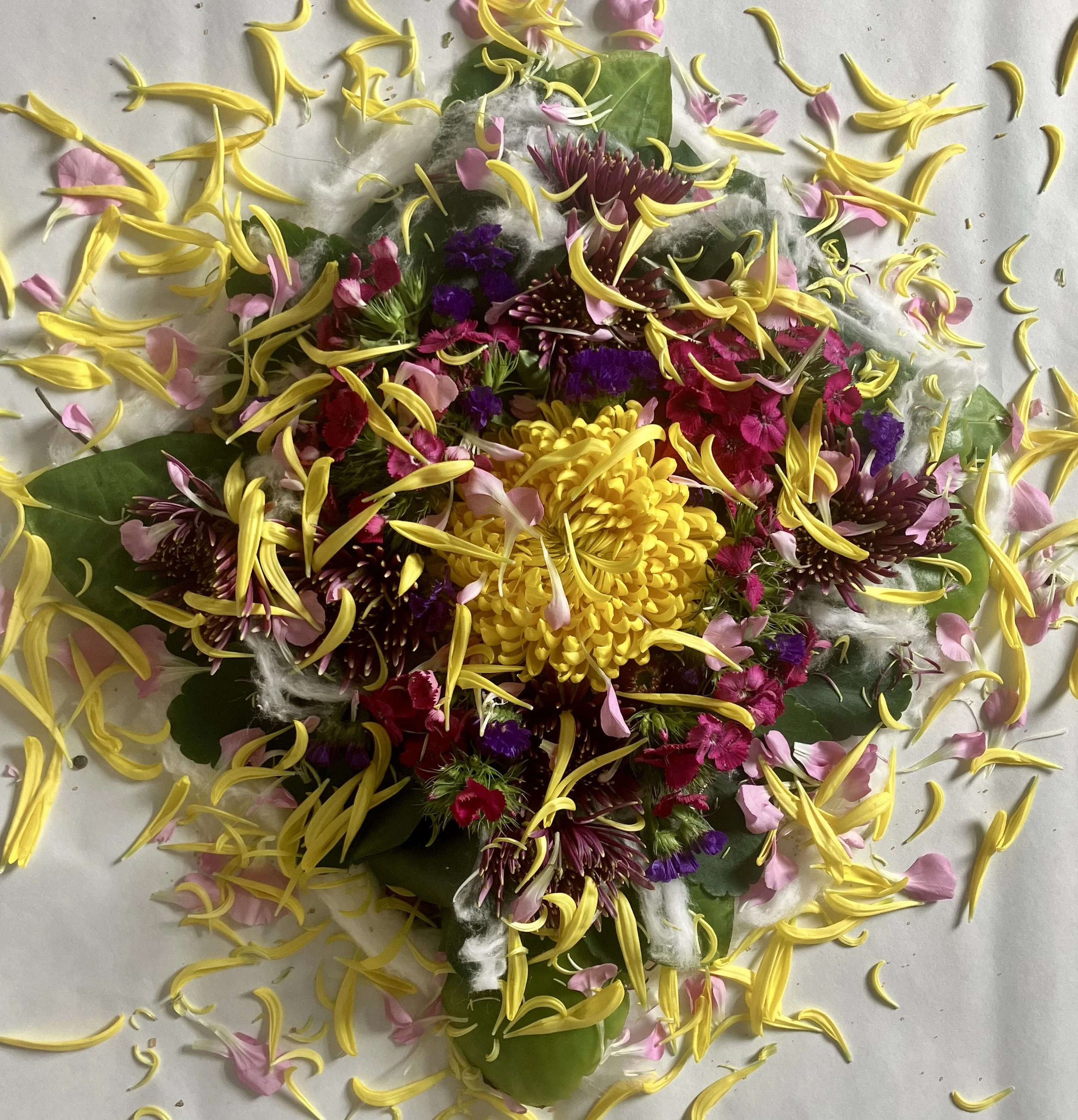 3.20.26 Spring equinox despacho