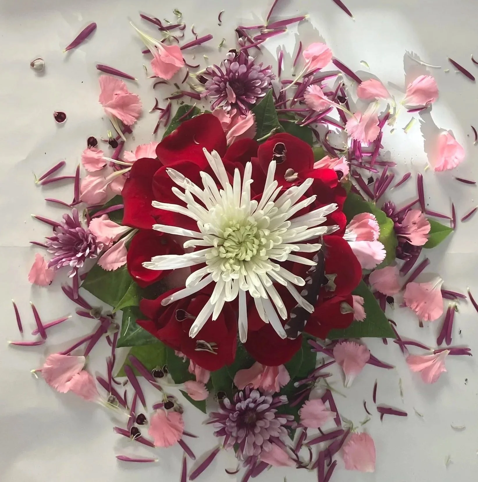 12.21.25 Winter Solstice despacho