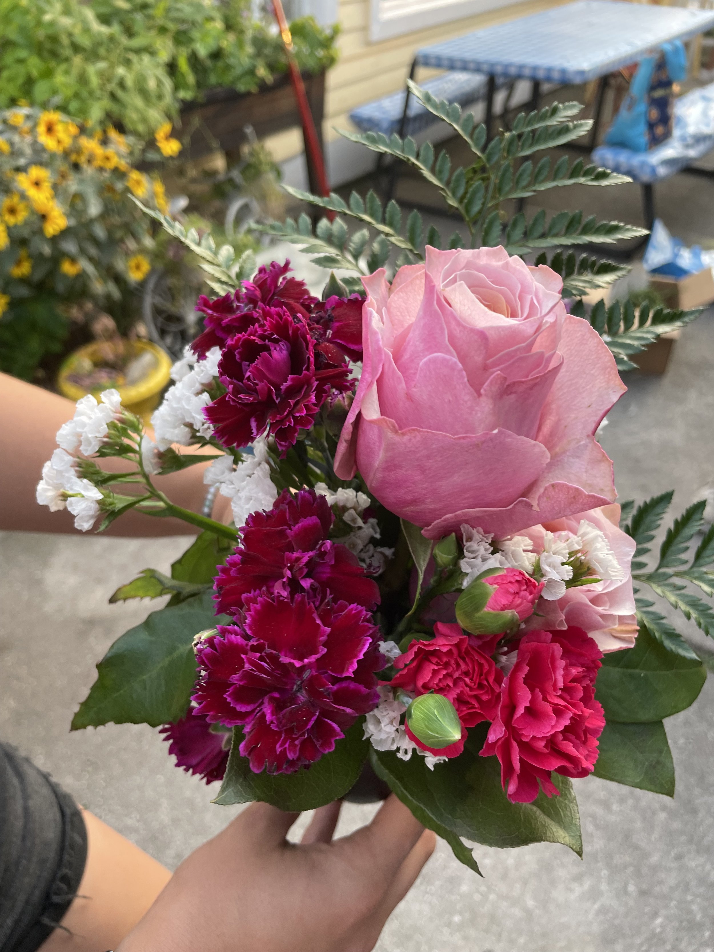 IMG_6335.jpeg