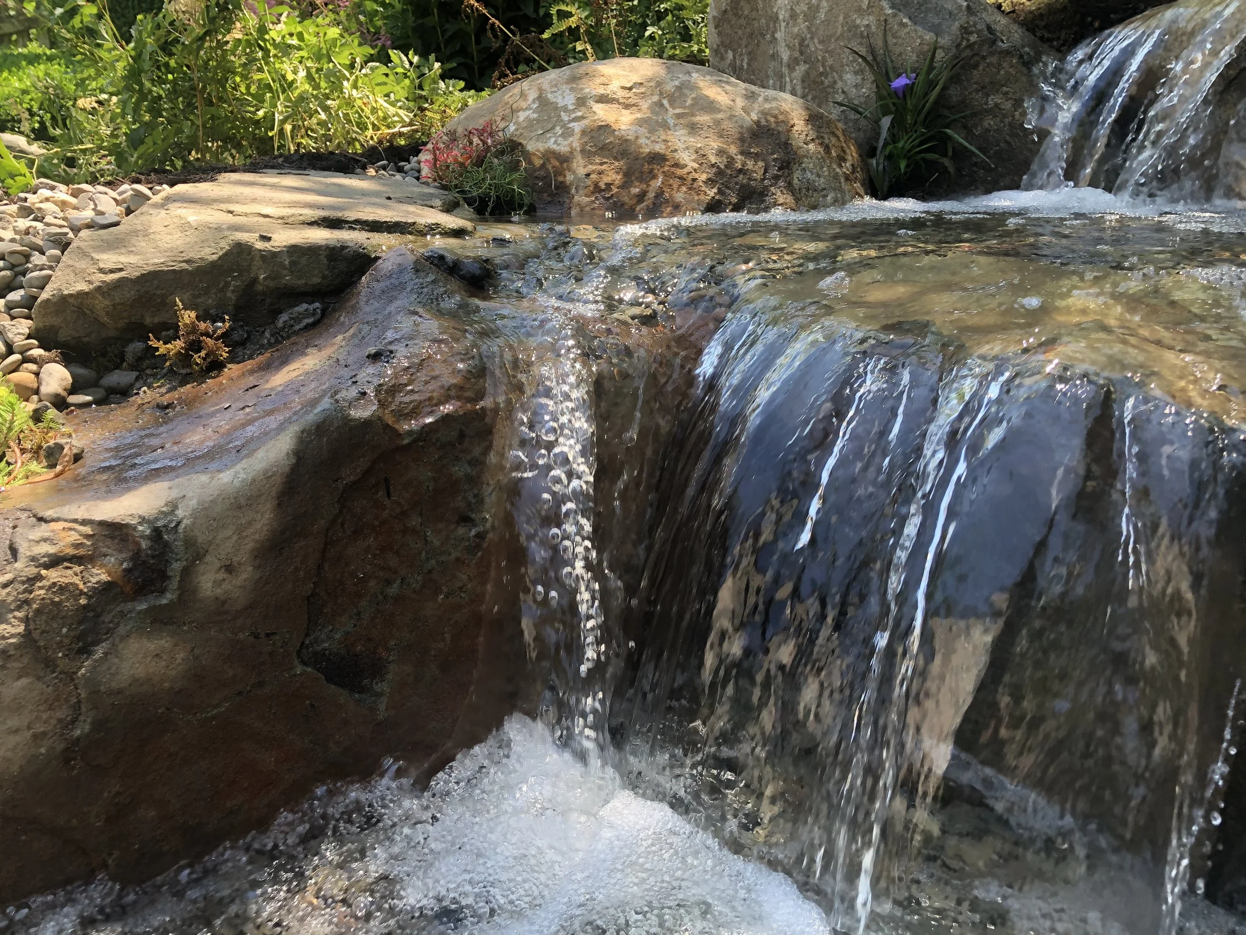 IMG_3543_Original copy.JPG