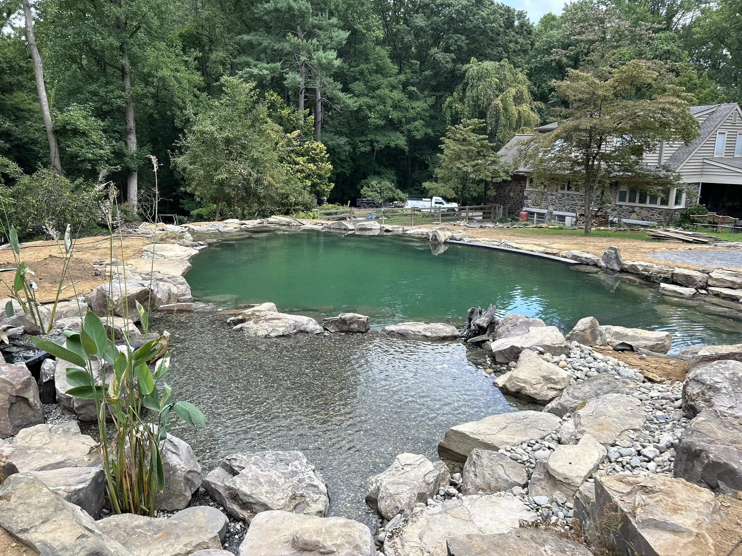 Naturalized Swimming pool in Glen Mills, PA uses plants, sediment catch basins, large Ultra Violet units, and massive water movement to provide safe, clear, healthy bodies of water that leave you feeling rejuvenated and clean, rather than covered in 