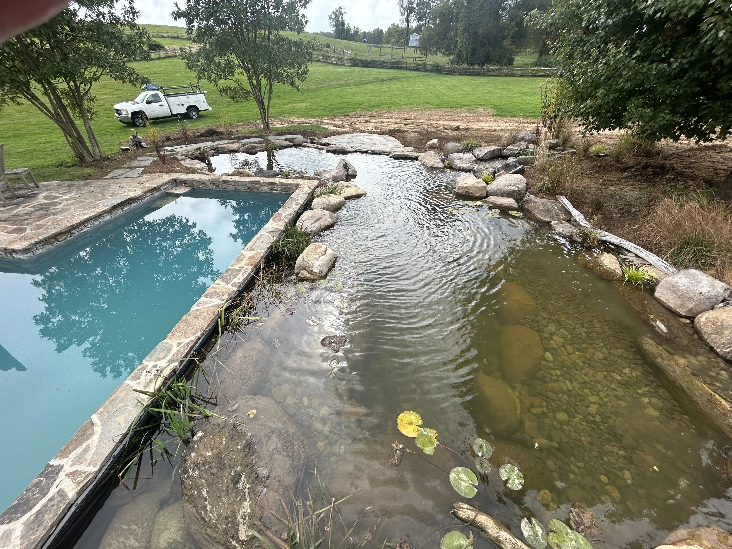 Our Chadds Ford, PA poolside project on final day of construction. Plants and surrounding landscape elements did not take long to bloom in this full sun Chester County backyard.