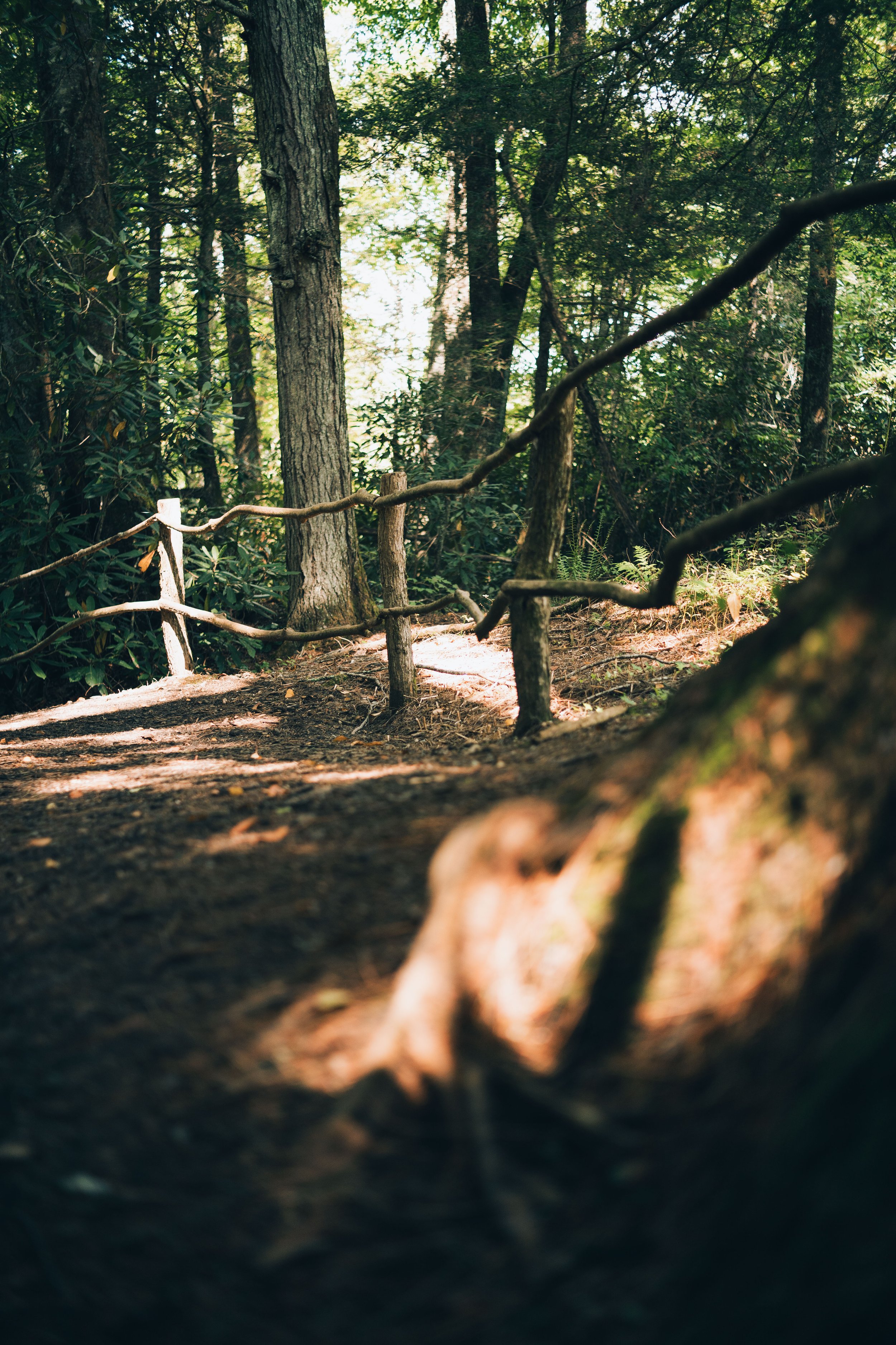 Greenery-3.jpg