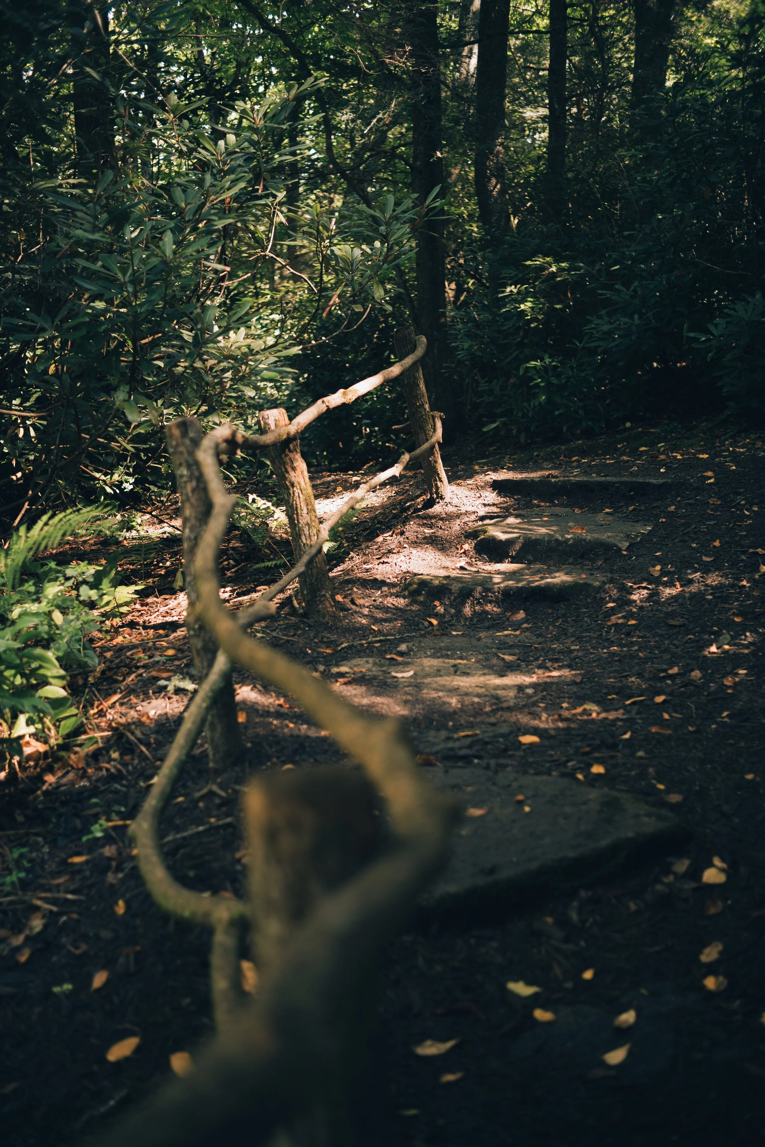 Greenery-5.jpg