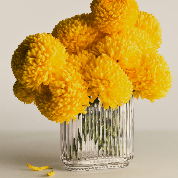 Screenshot 2026-04-27 131111.png