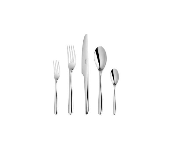 5PC Placesetting L'Ame Flatware