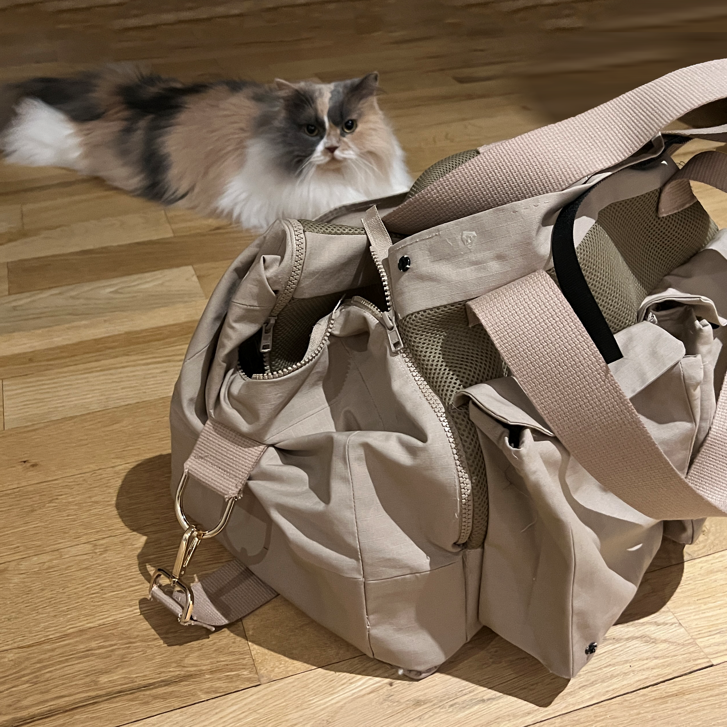 Pet Bed Carrier