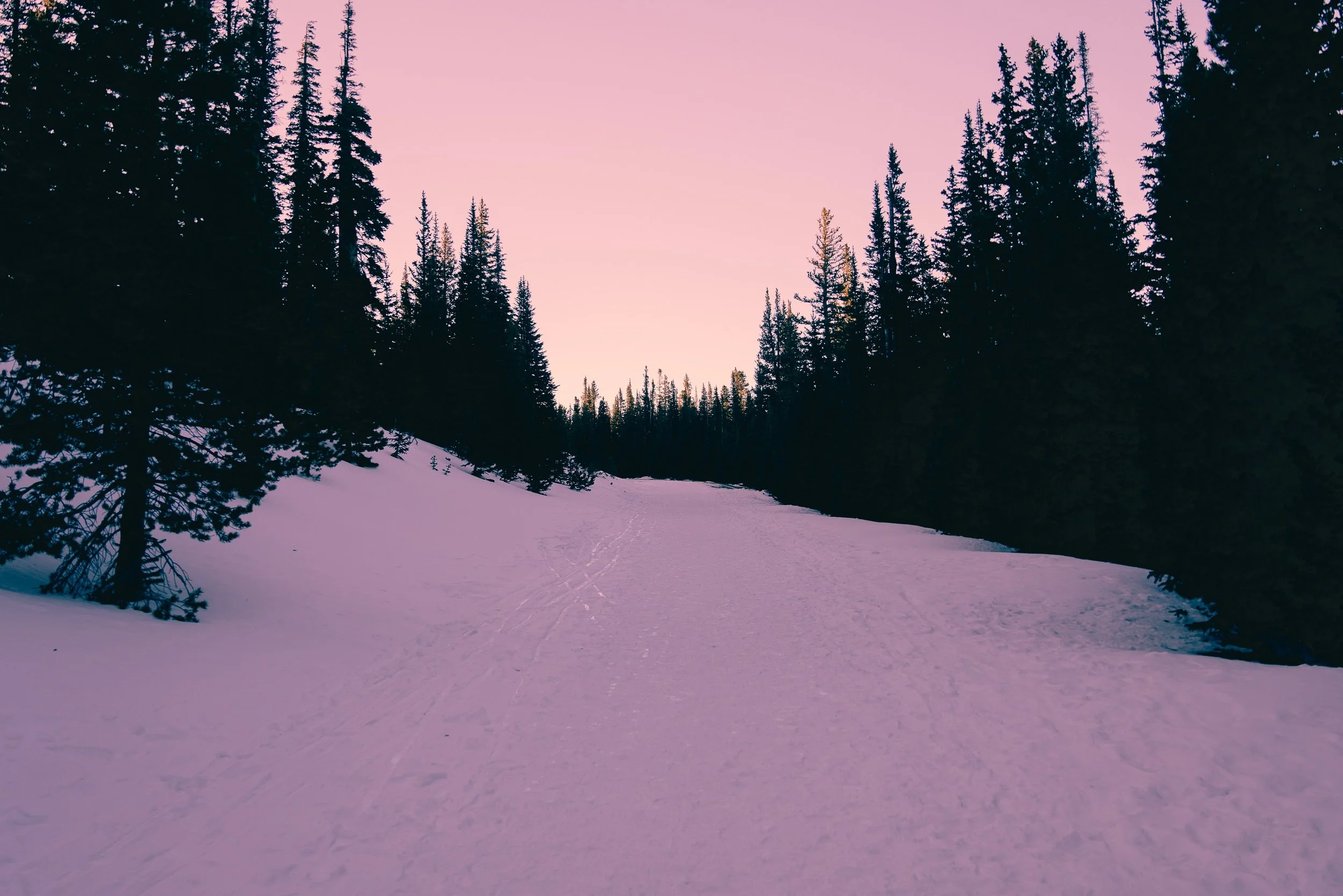 A wide-opened space snowy road in a purple hue, with trees lining both sides with abackdrop of purple and pink sky.