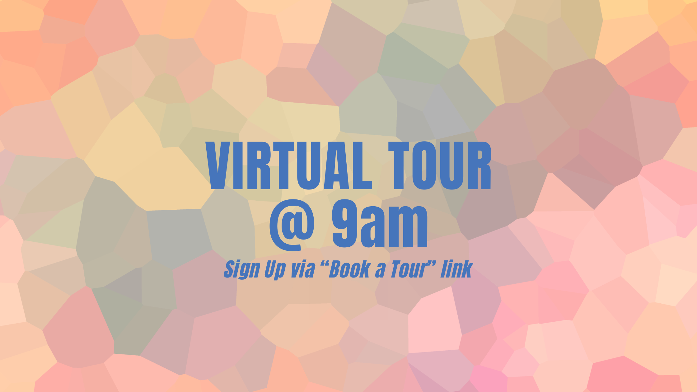 Virtual Tour (Wednesdays at 9am)