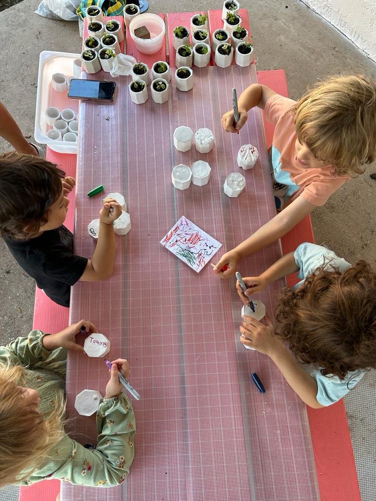 South Austin, Texas Montessori School - Ages 3 - 9 years