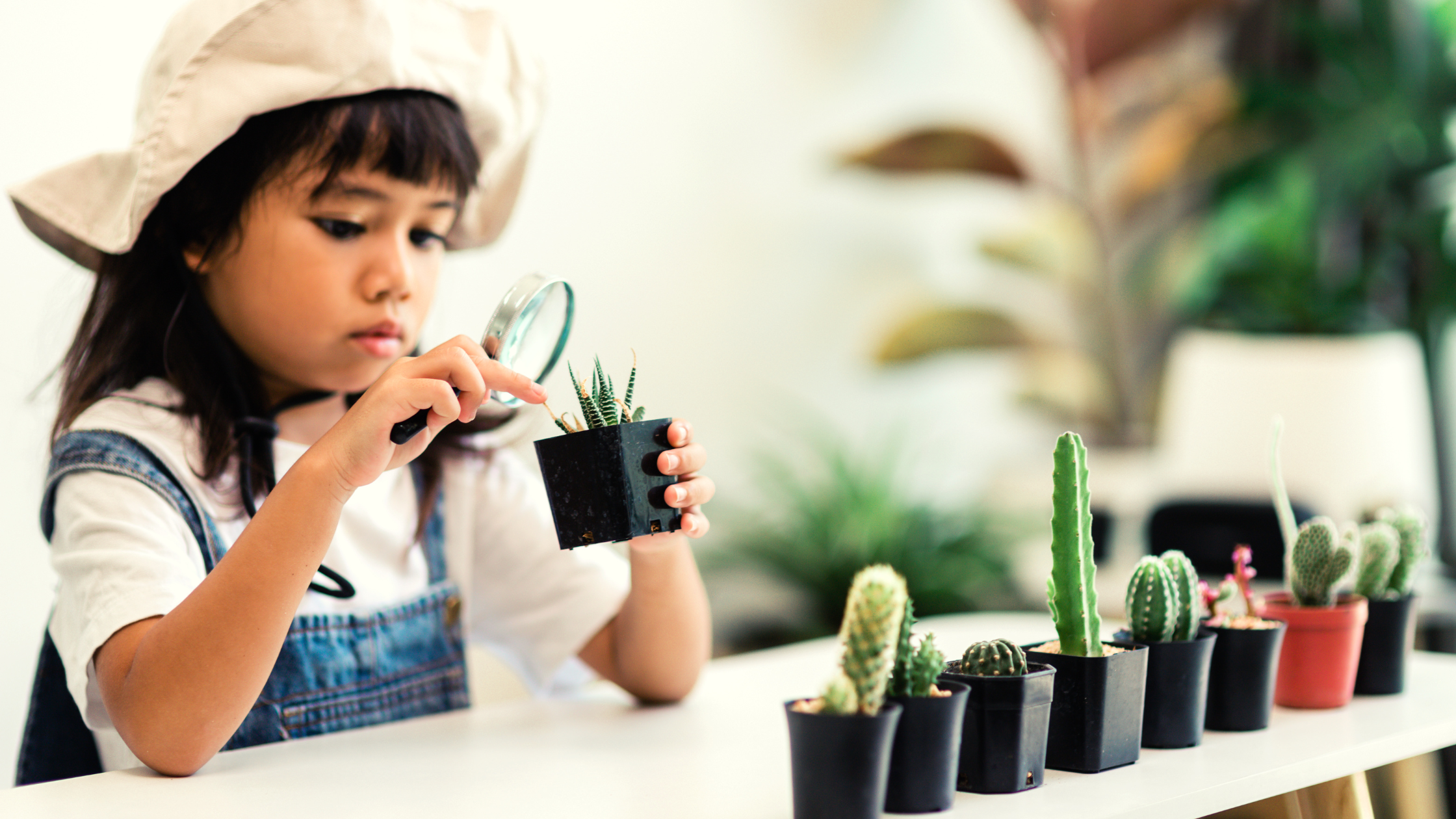 Child using a magnifying glass to closely observe a small plant, demonstrating concentration and hands-on learning in a Montessori setting.
