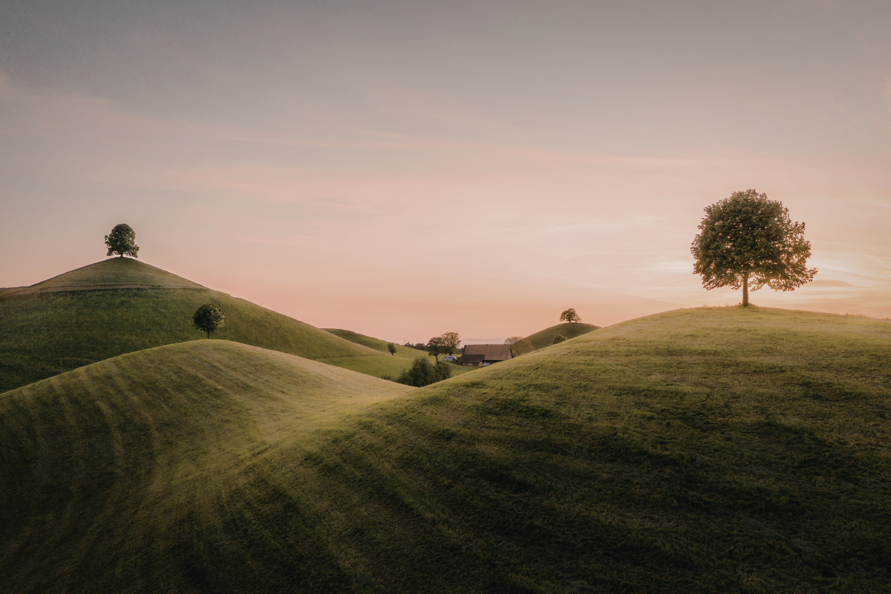 Peaceful landscape representing everyday family life and steady adult presence.