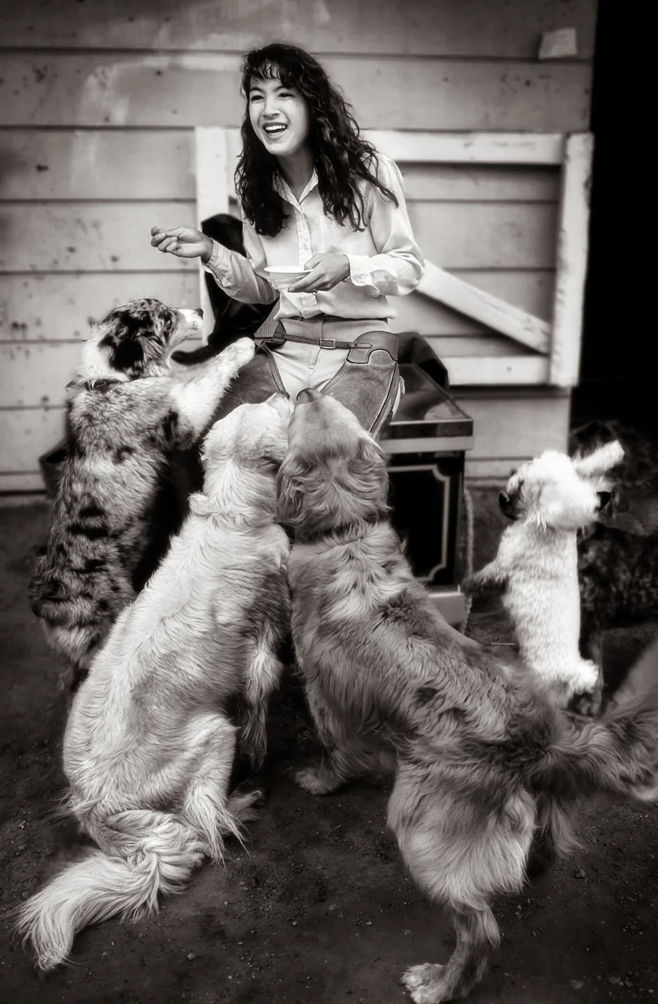 Equestrian with Dogs