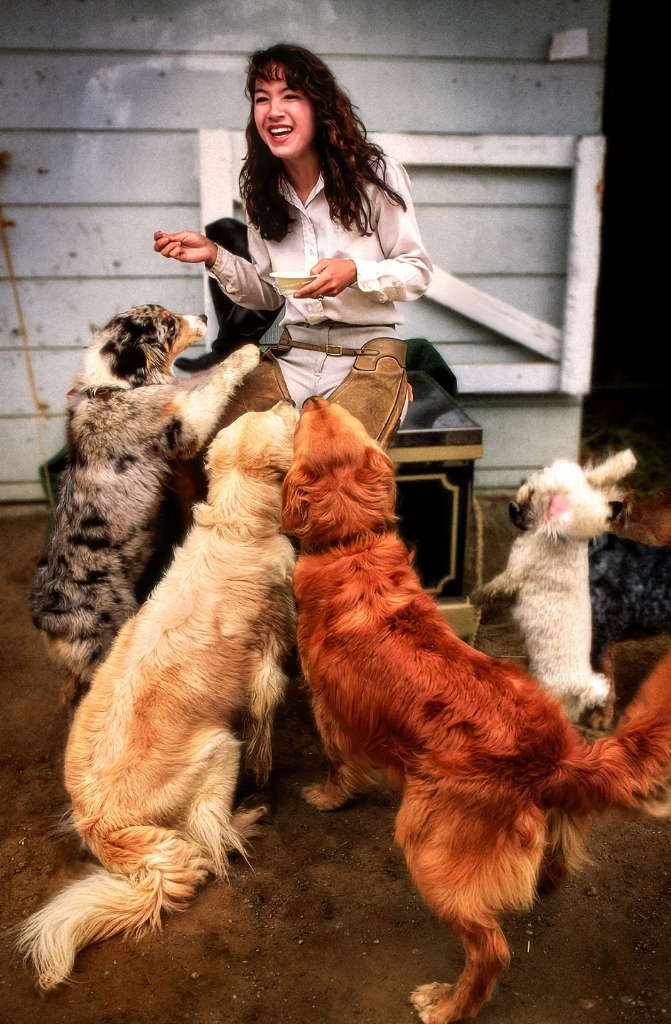 equestrian with dogs.jpg