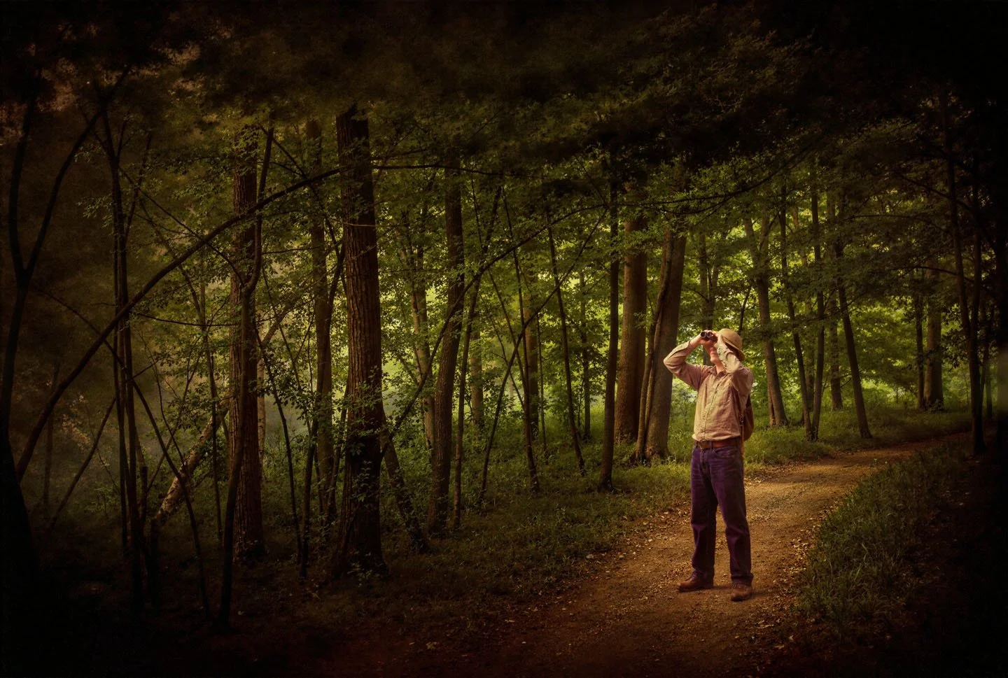 The Birdwatcher.jpg