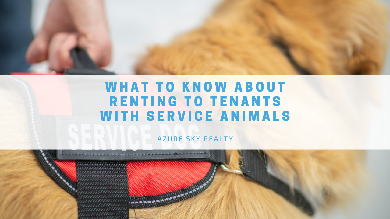 Service Animals in Rental Housing — Azure Sky