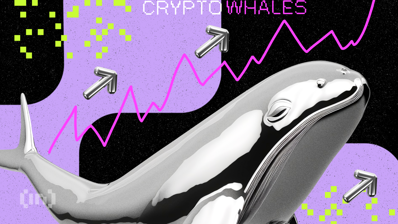Crypto Whales are Buying These 3 Alts for September!
