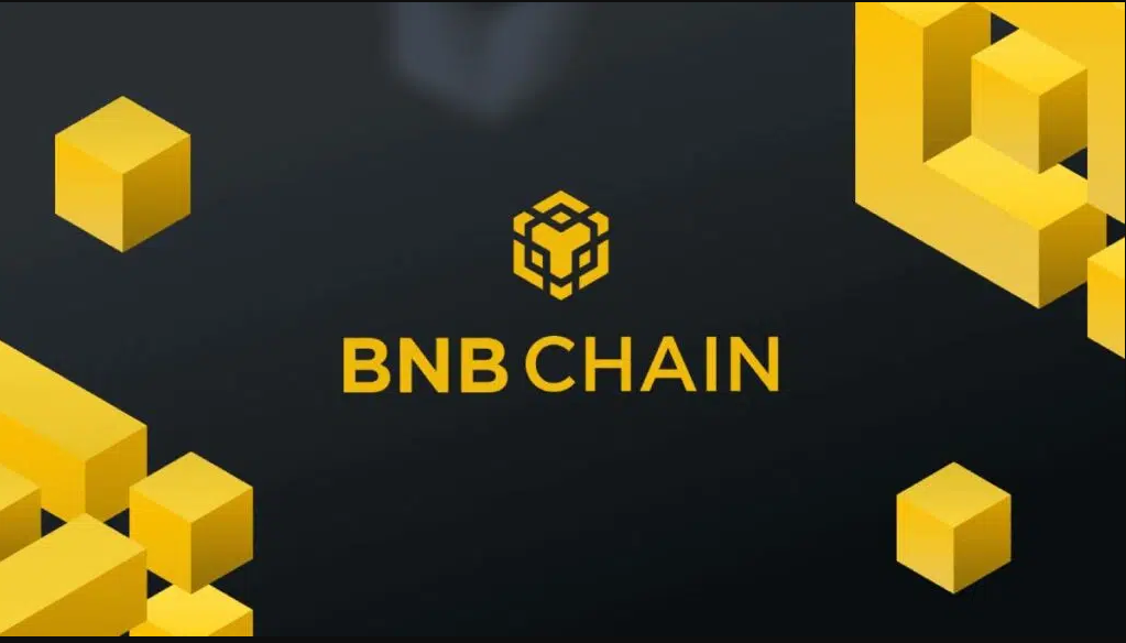 BNB Chain New Incentives Drive DeFi TVL and NFT Activity as Multichain Plans Unfold