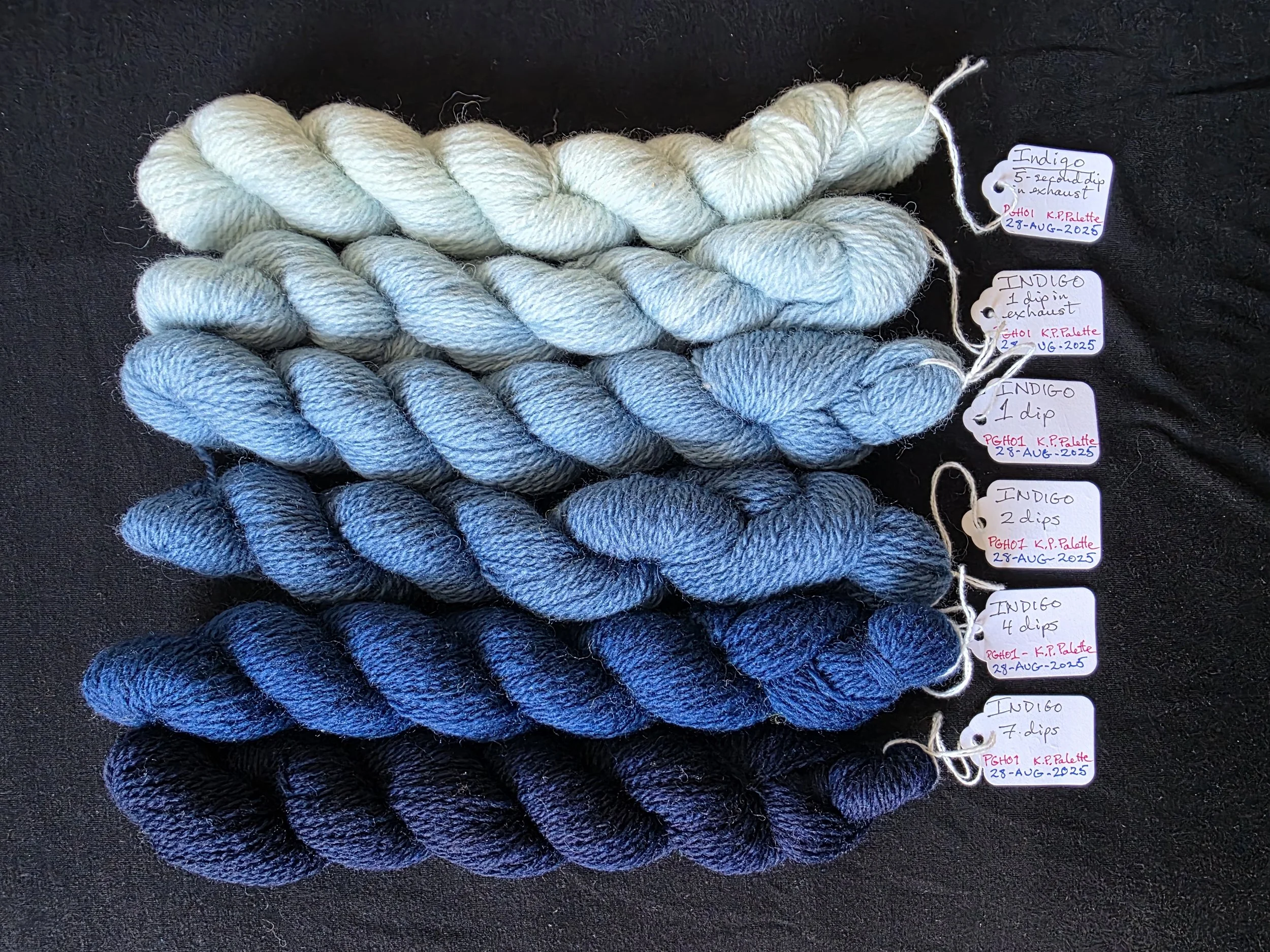 Indigo Dyeing Workshop