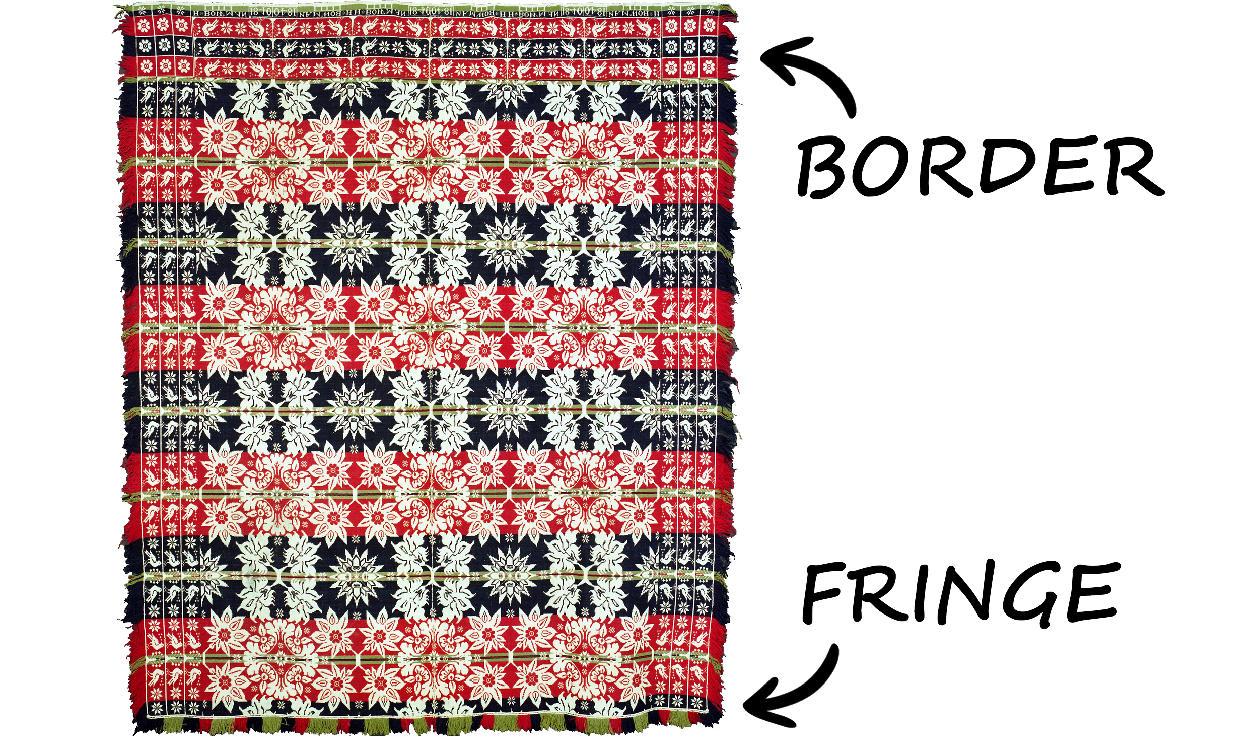 Upside down fringe.png