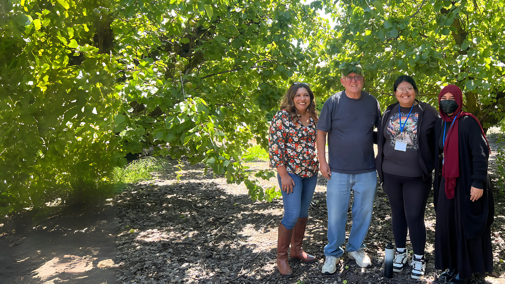 Climate Action Pathways for Schools