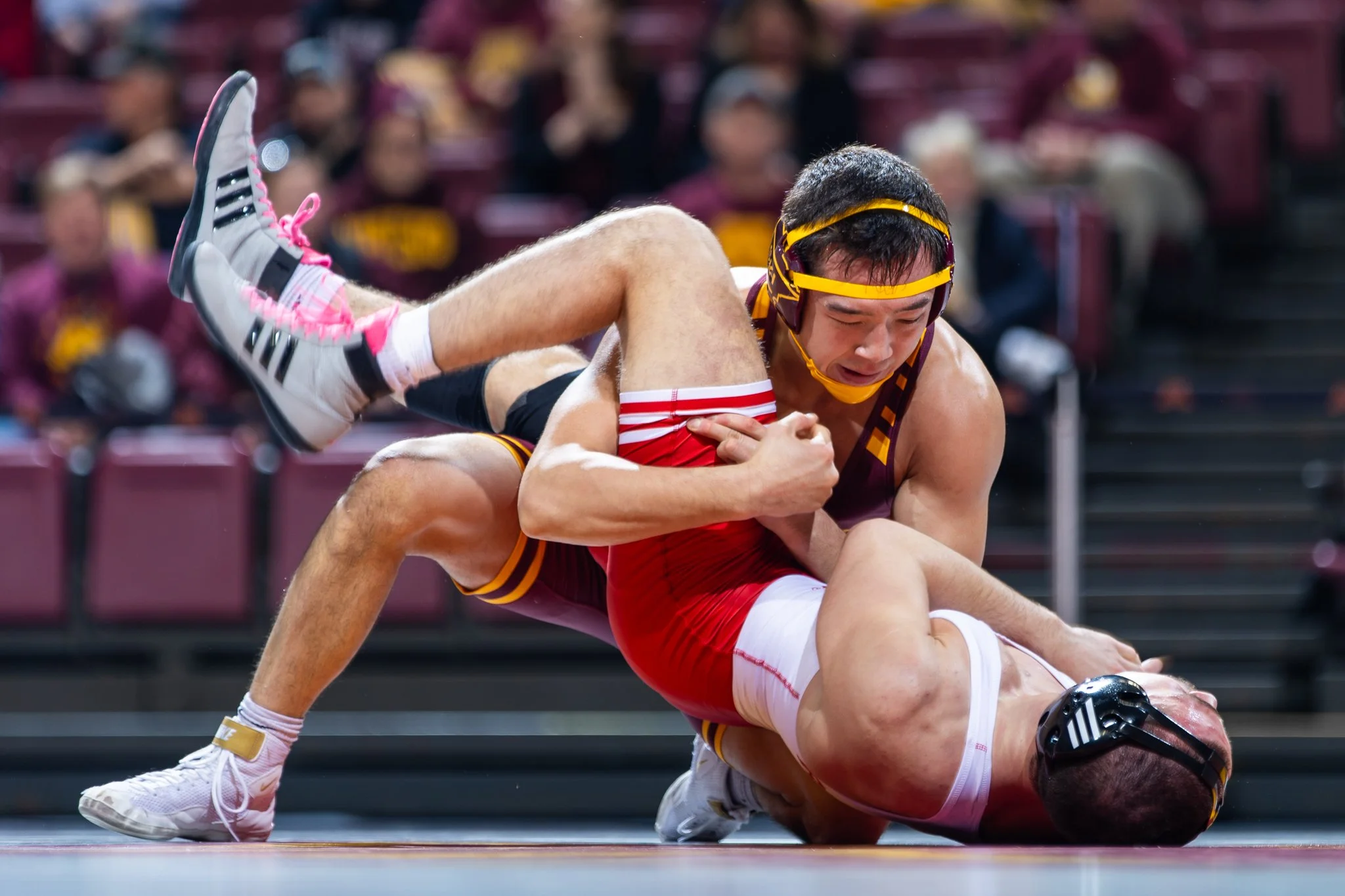 wrestling 361779.jpg