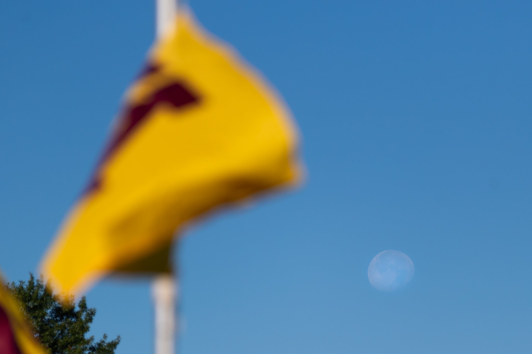 Griak 204868.jpg