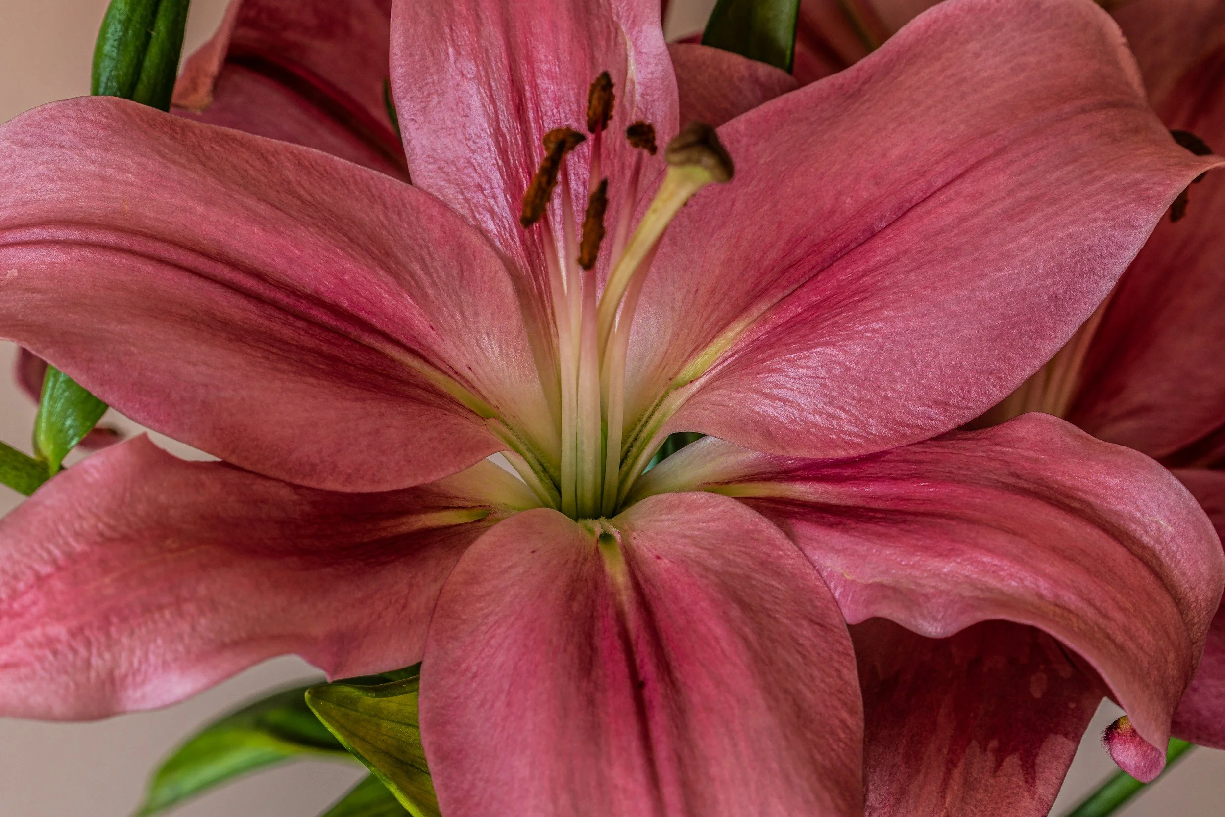 EXPLORE: PLEASURE, DESIRE &amp; SENSUALITY