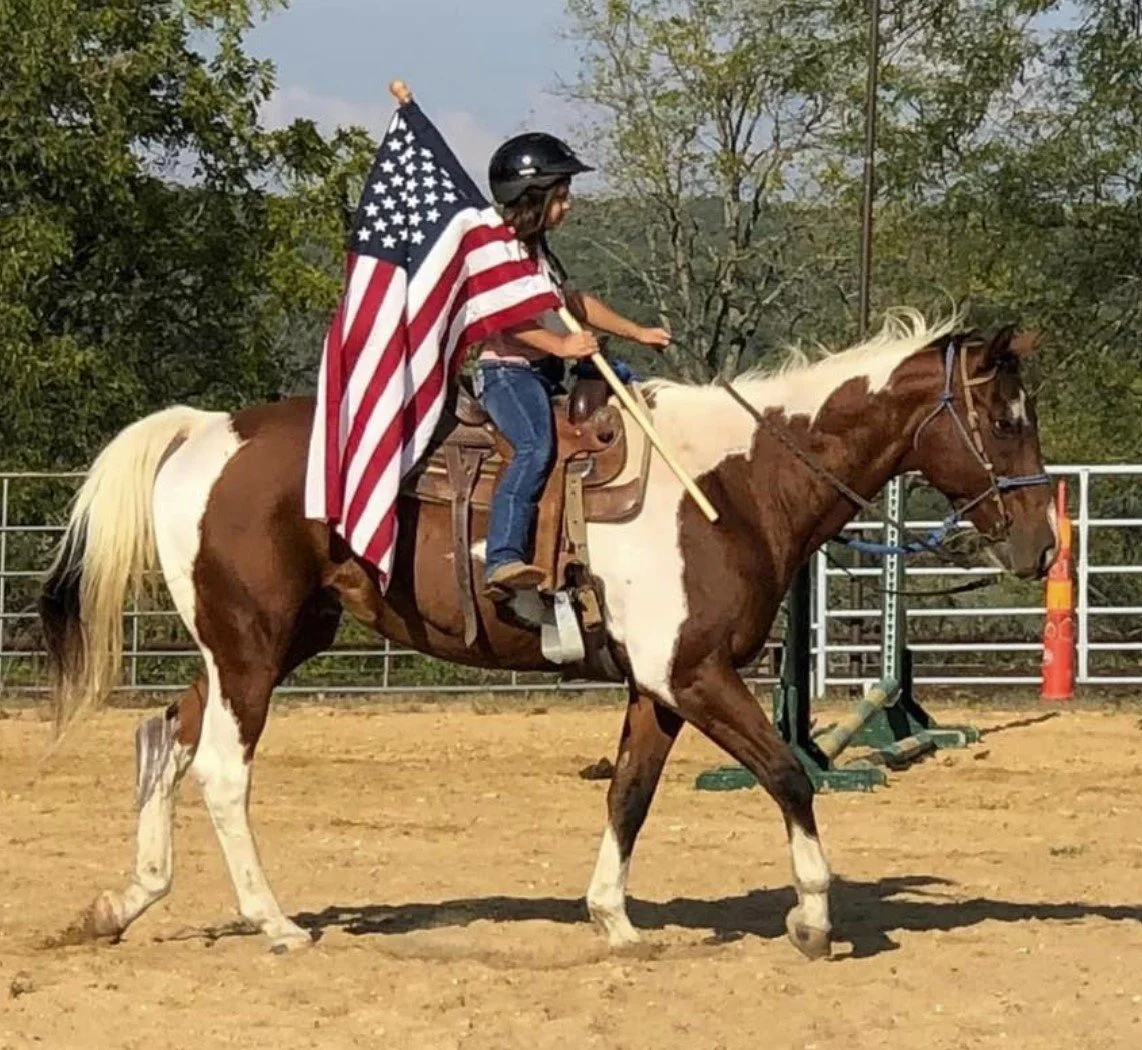 Picture of Horse Liberty