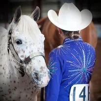 Picture of horse Chaco