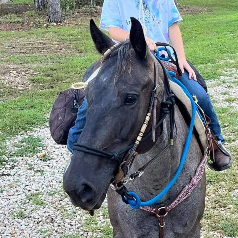 Horse- Pearl