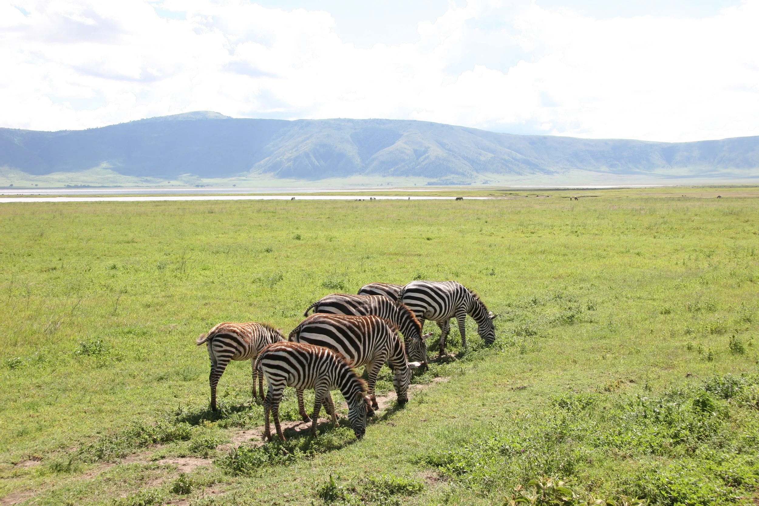 D 2008-4 Zanzibar and Tanzania 14.jpg